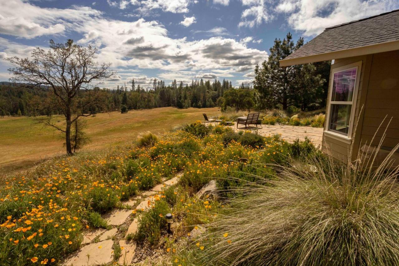 Bed and Breakfast Red Tail Ranch à Groveland Extérieur photo