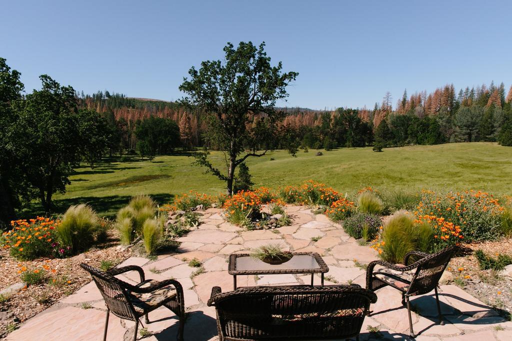 Bed and Breakfast Red Tail Ranch à Groveland Extérieur photo