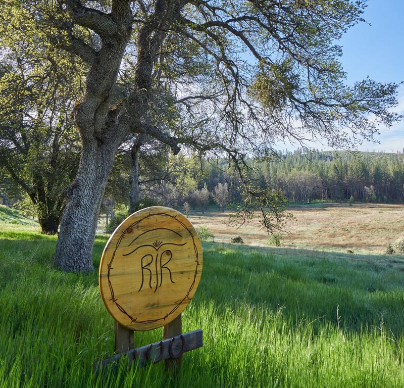 Bed and Breakfast Red Tail Ranch à Groveland Extérieur photo