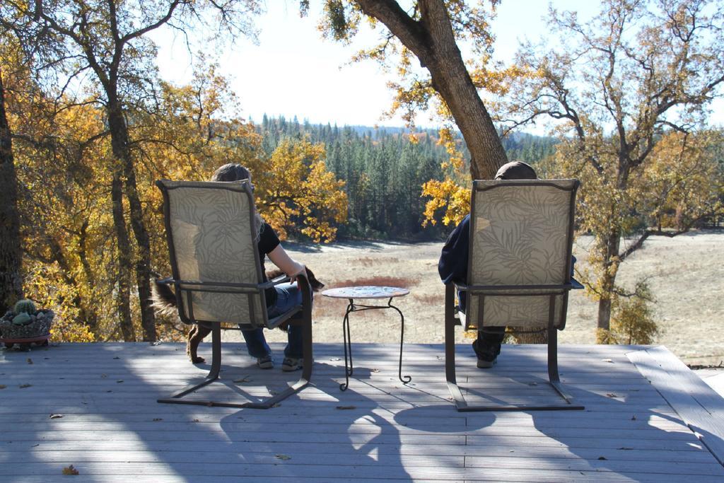 Bed and Breakfast Red Tail Ranch à Groveland Extérieur photo